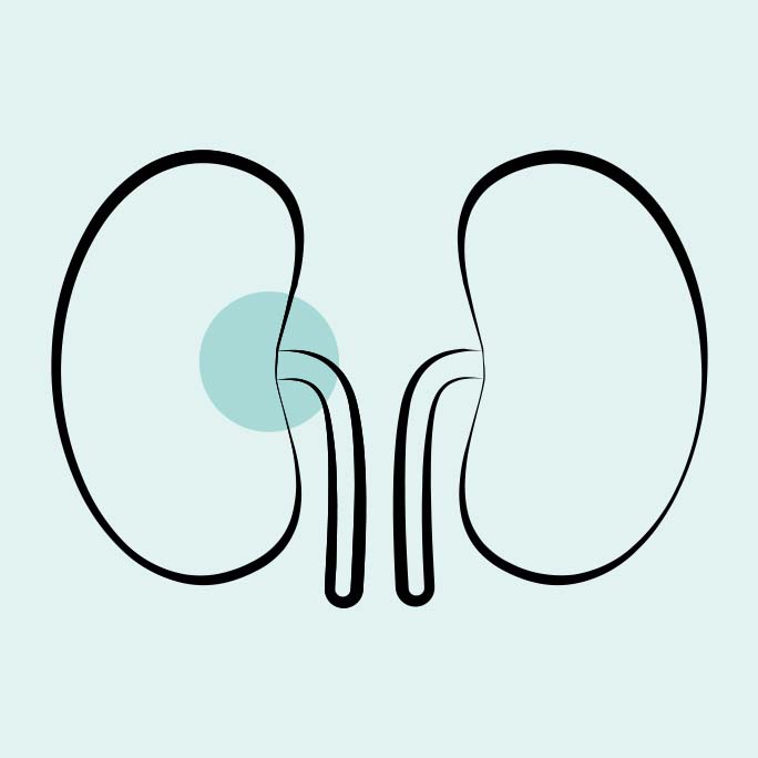 icon11-kidney-symptoms