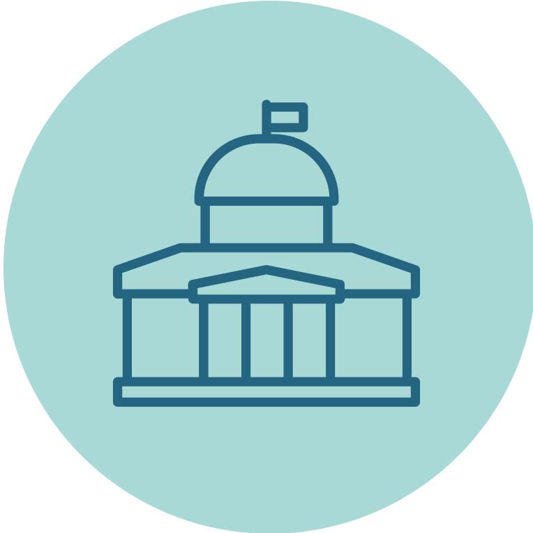  icon11-local-government